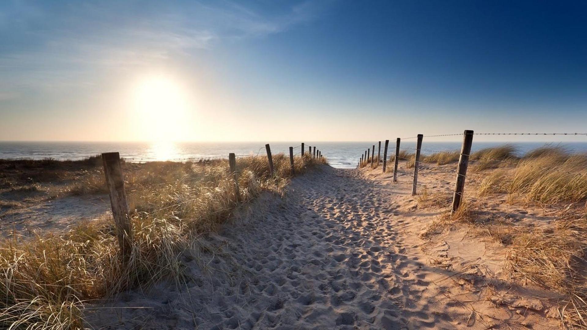 Sunny Dunes Zandvoort Eksteriør bilde